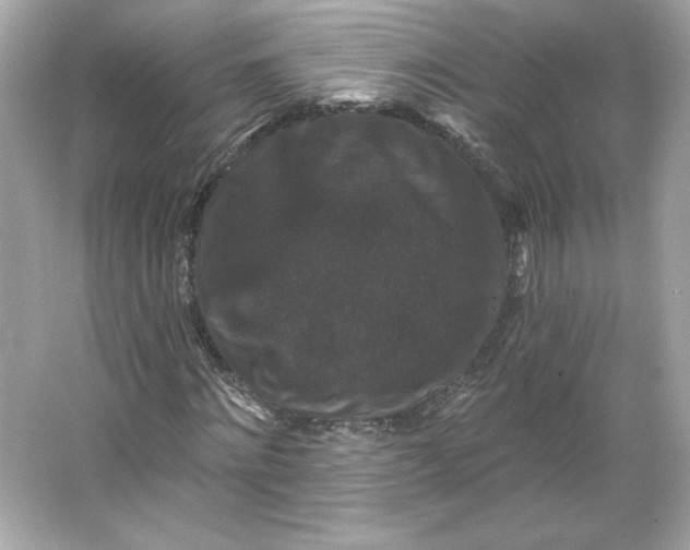 X0000066010868200603171503