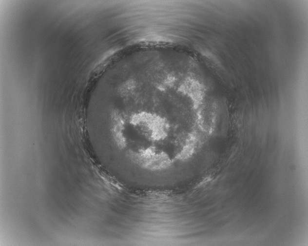 X0000066010870200603171503