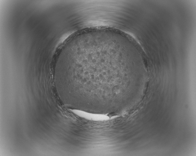 X0000066010871200603171503