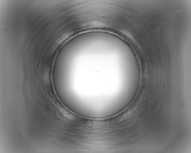 X0000066010873200603171503