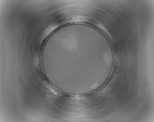 X0000066010874200603171503