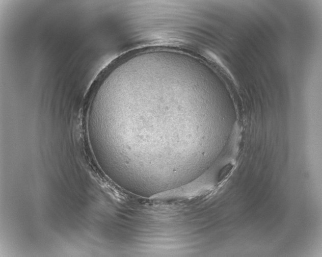 X0000066010875200603171503