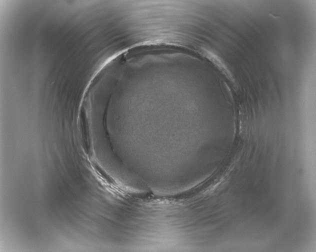 X0000066010876200603171503