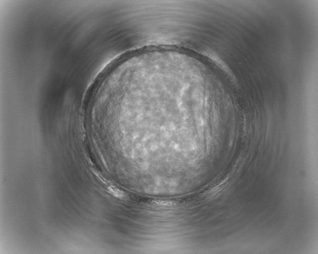 X0000066010878200603171503