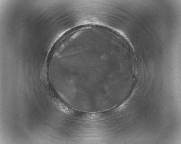 X0000066010879200603171503