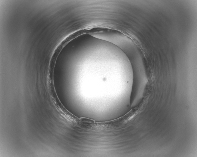 X0000066010880200603171503