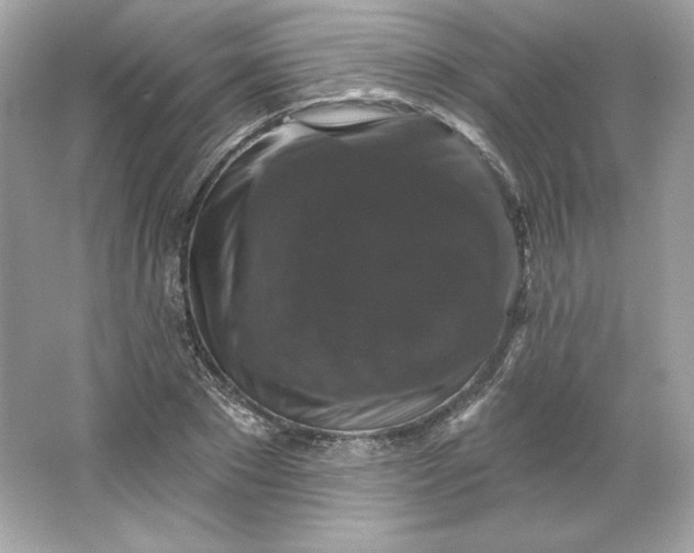 X0000066010881200603171503