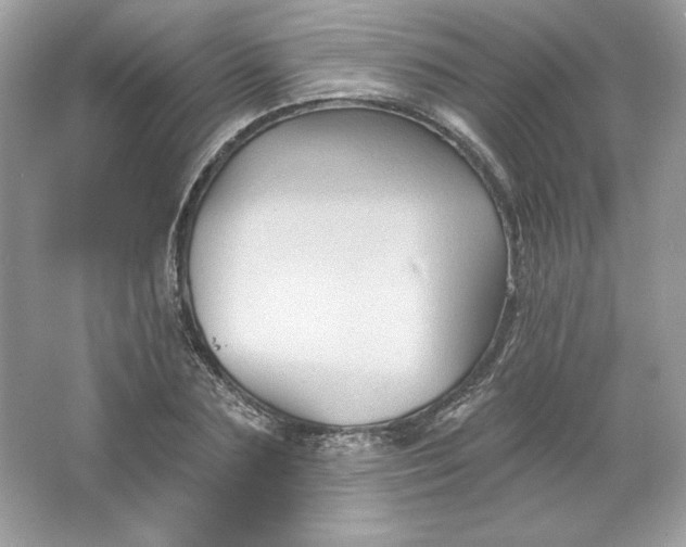 X0000066010883200603171503