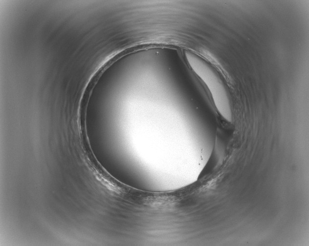 X0000066010884200603171503