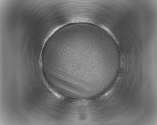 X0000066010885200603171503