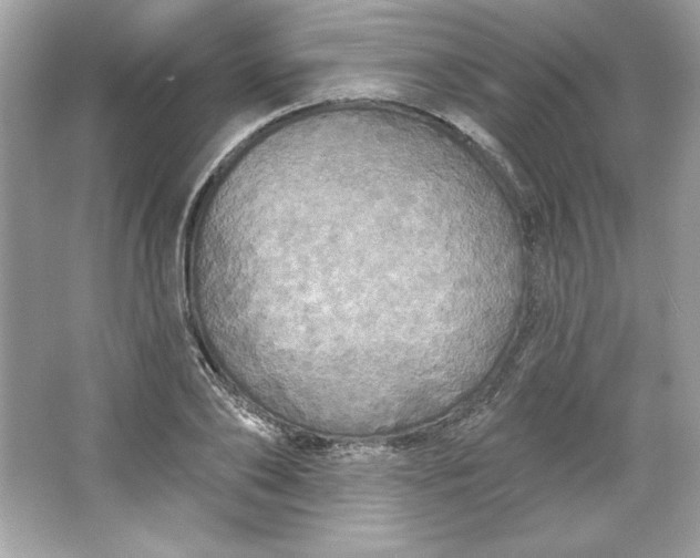 X0000066010886200603171503