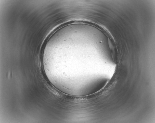 X0000066010887200603171503