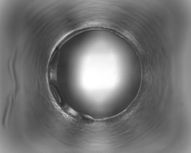 X0000066010888200603171503