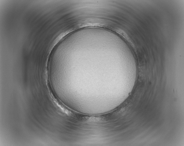 X0000066010890200603171503