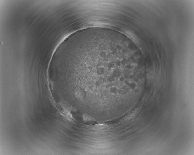 X0000066010891200603171503