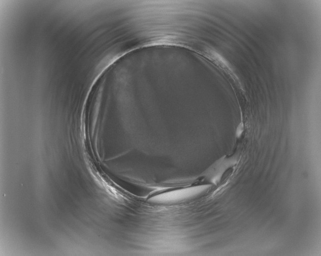 X0000066010892200603171503