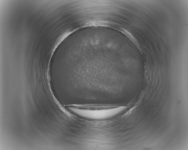 X0000066010893200603171503