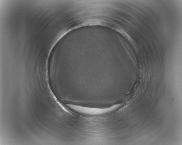 X0000066010894200603171503