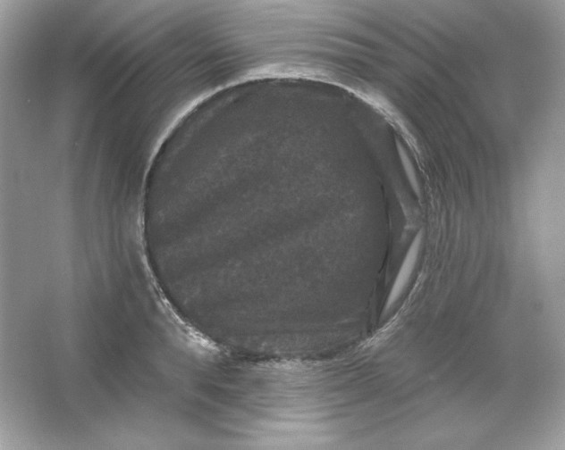 X0000066010896200603171503