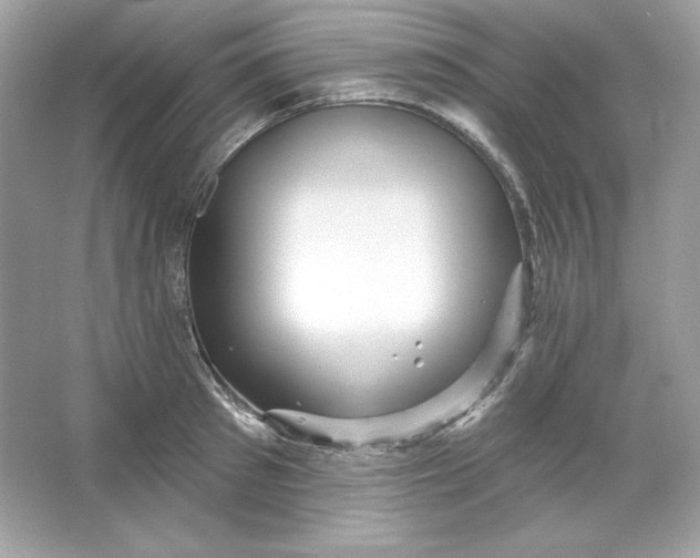 X0000066010897200603171503