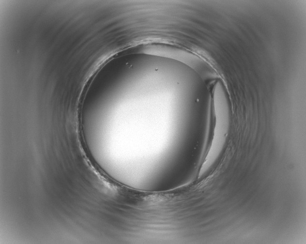 X0000066010898200603171503