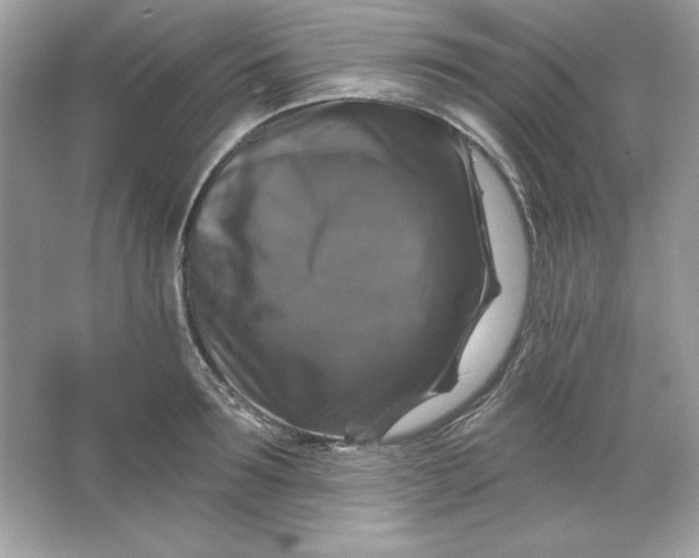 X0000066010899200603171503