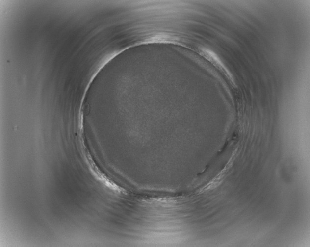 X0000066010900200603171503