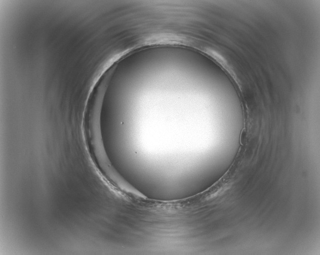 X0000066010901200603171503