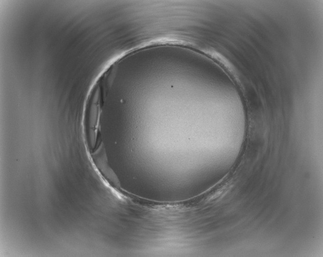 X0000066010902200603171503