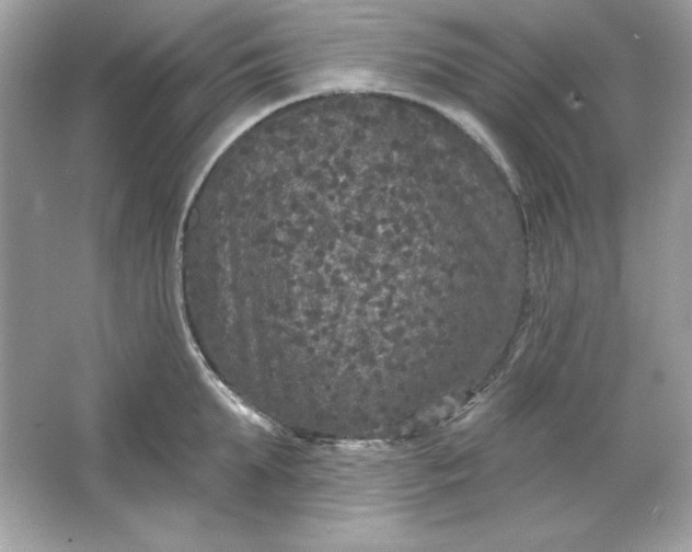 X0000066010903200603171503