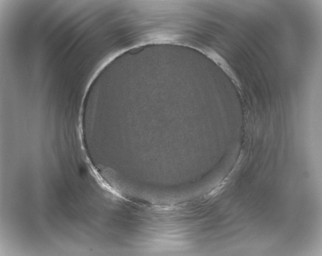 X0000066010904200603171503