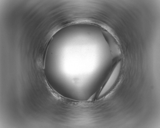 X0000066010905200603171503