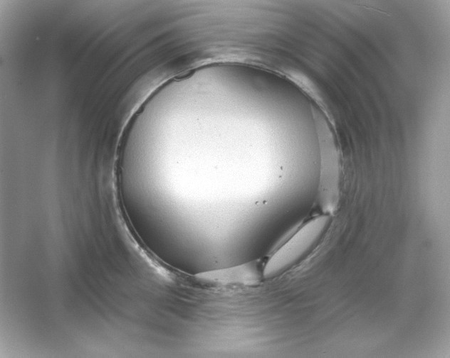 X0000066010906200603171502