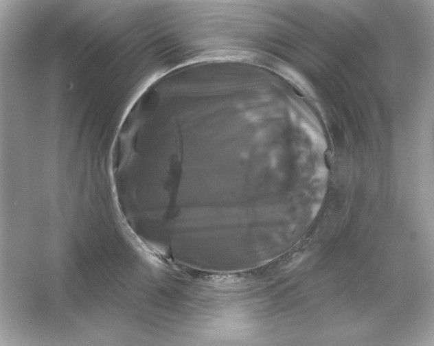 X0000066010907200603171502