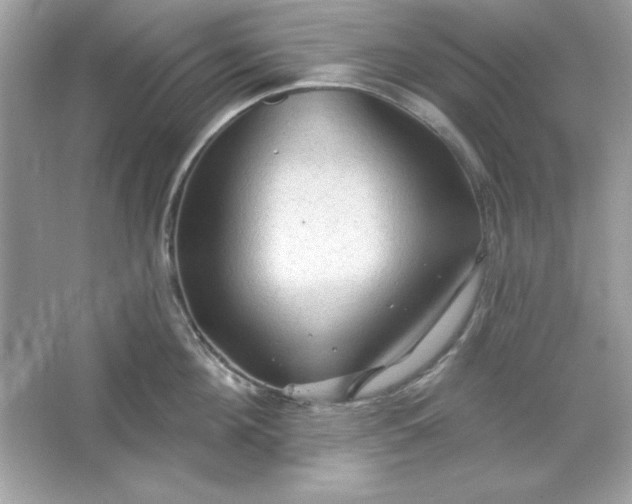 X0000066010908200603171502