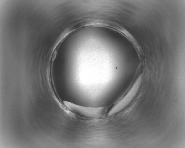 X0000066010909200603171502