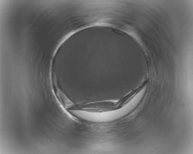 X0000066010910200603171502