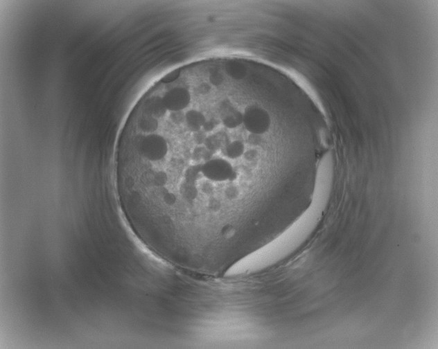 X0000066010911200603171502