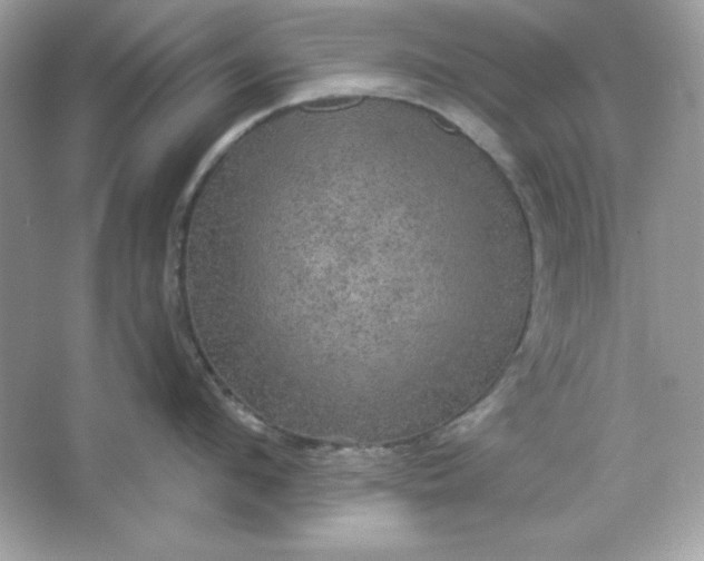 X0000066010912200603171502