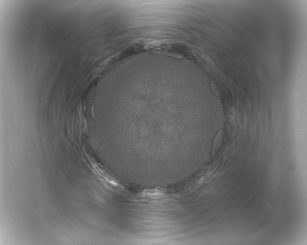 X0000066010914200603171502