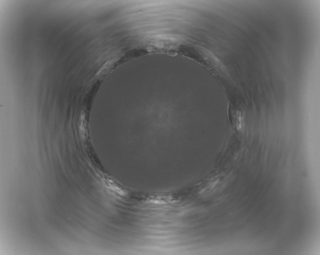 X0000066010915200603171502