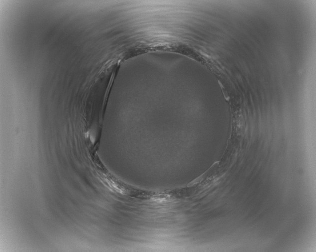 X0000066010916200603171502