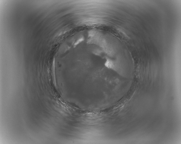 X0000066010917200603171502