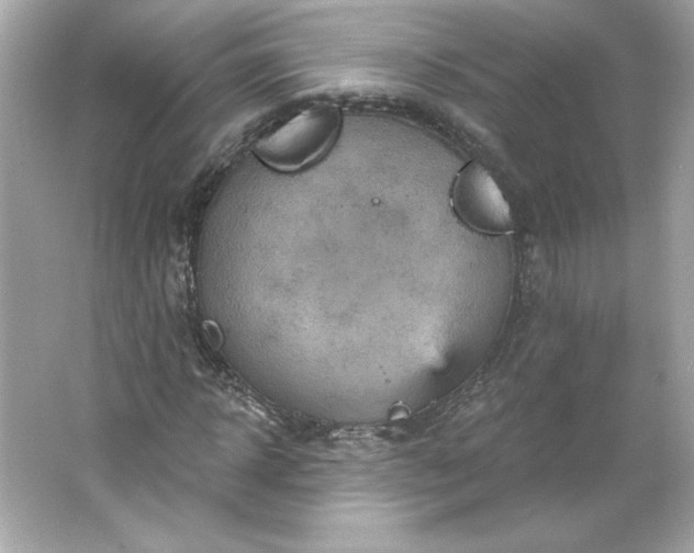 X0000066010918200603171502