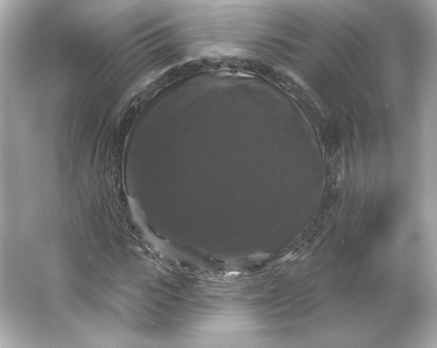 X0000066010919200603171502