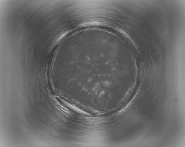 X0000066010921200603171502