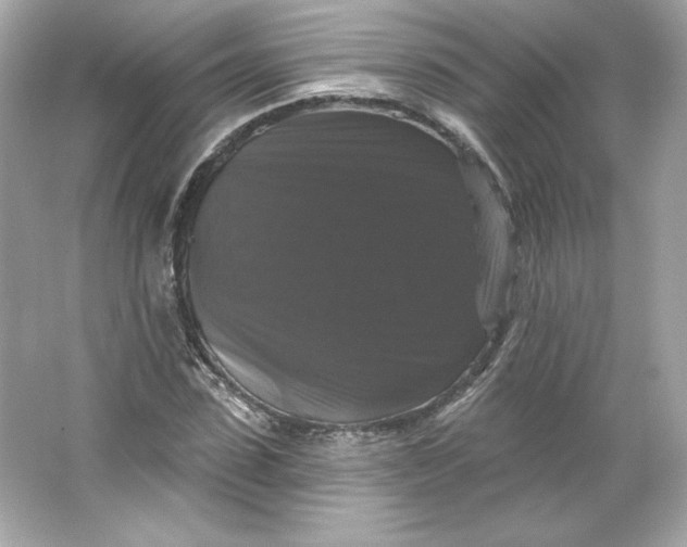 X0000066010923200603171502