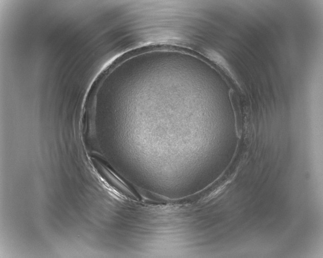 X0000066010924200603171502