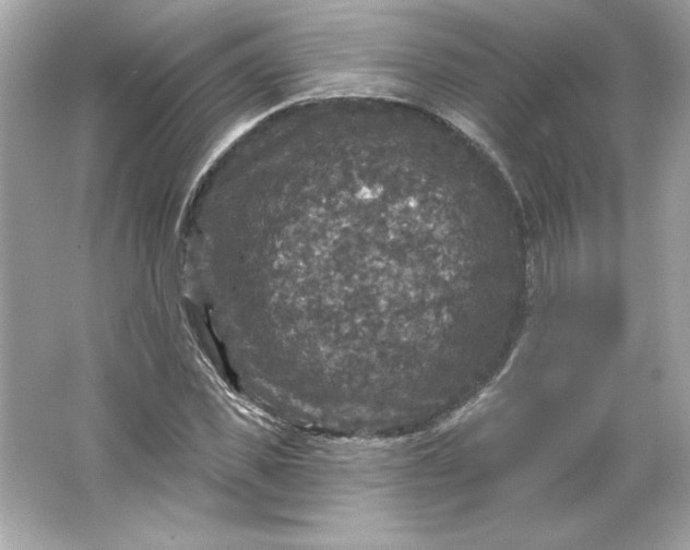 X0000066010925200603171502