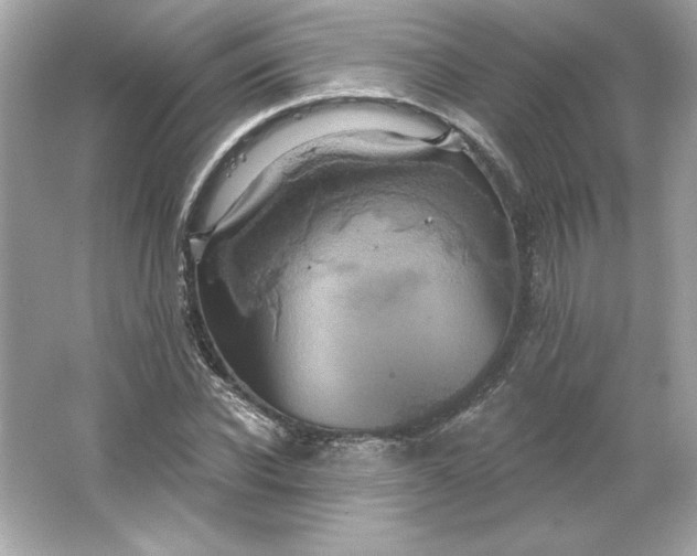 X0000066010926200603171502